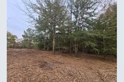 Lot 4 Blue Bonnet Valley, Williston, SC 29853 - Photo 1