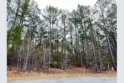 Lot C112 Dock Side Lane, Lincolnton, GA 30817 - Photo 1