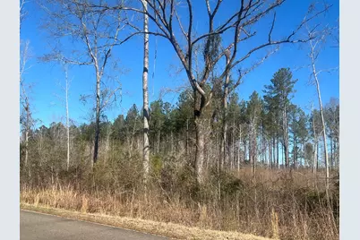 0 Old Five Notch Road, Edgefield, SC 29824 - Photo 1