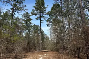 Lot 7 Cooks Pond Rd, Windsor, SC 29856 - Photo 1