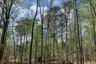 111 Carriage Ln, McCormick, SC 29835 - Photo 1