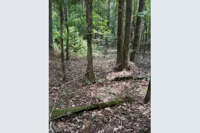 0 Walker Rd, Edgefield, SC 29824 - Photo 1