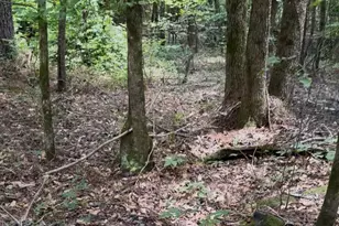 0 Walker Rd, Edgefield, SC 29824 - Photo 1