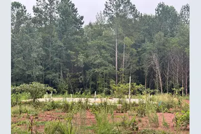 000 Seven Oaks Drive, Washington, GA 30673 - Photo 1