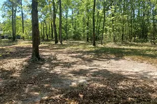 169 Courtney Rd, Trenton, SC 29847 - Photo 1