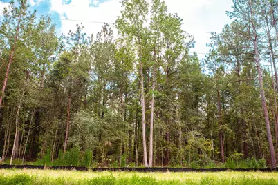 Lot 19 Leyland Court, Clarks Hill, SC 29821 - Photo 1