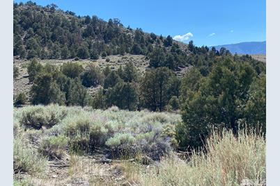 Tbd Pine Nut Mountains (70) #70, Gardnerville, NV 89410 - Photo 1