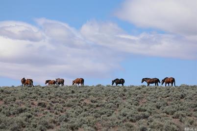 Tbd South Of Buckeye Creek (61), Gardnerville, NV 89410 - Photo 1