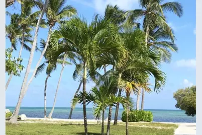 75131 Overseas Highway, Islamorada, FL 33036 - Photo 11