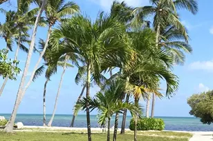 75131 Overseas Hwy, Islamorada, FL 33036 - Photo 11