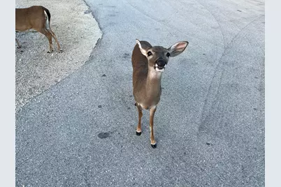 1540 Lantana Lane, Big Pine, FL 33043 - Photo 17