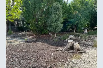 148 Tequesta Street, Islamorada, FL 33070 - Photo 5