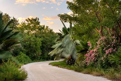 88041 Old Highway, Islamorada, FL 33036 - Photo 137