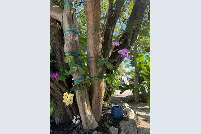 415 Palm Drive, Islamorada, FL 33036 - Photo 69