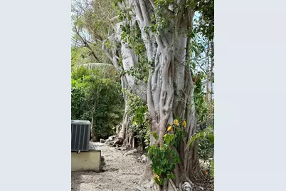 702 N Silver Circle, Key Largo, FL 33037 - Photo 3