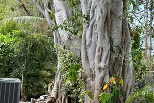 702 N Silver Cir, Key Largo, FL 33037 - Photo 3