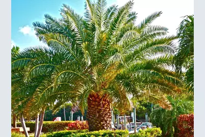 500 Burton Drive #4203, Tavernier, FL 33070 - Photo 33