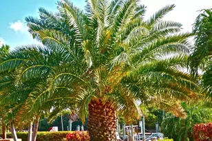 500 Burton Dr, Tavernier, FL 33070 - Photo 33