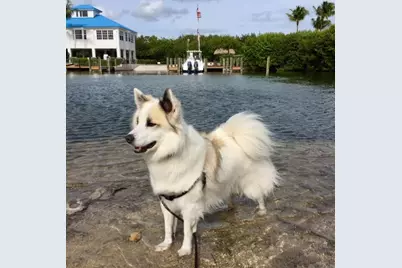 500 Burton Drive #4203, Tavernier, FL 33070 - Photo 39