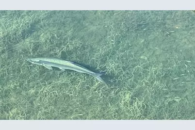 88500 Overseas Highway #501, Islamorada, FL 33070 - Photo 41