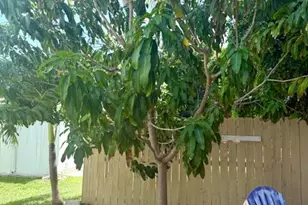 610 N Emerald Dr, Key Largo, FL 33037 - Photo 21