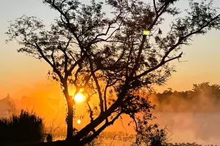 17190 Serengeti Cir, Alva, FL 00000 - Photo 39