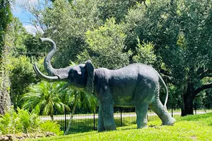 17190 Serengeti Cir, Alva, FL 00000 - Photo 53