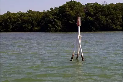  Main Key, Barnes Sound, Key Largo, FL 33037 - Photo 59