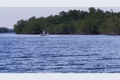  Main Key, Barnes Sound, Key Largo, FL 33037 - Photo 61