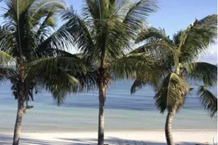 251 2nd St, Key Colony, FL 33051 - Photo 15