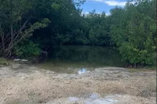 24840 Park Dr, Summerland, FL 33042 - Photo 13