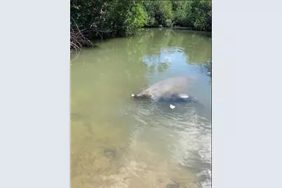 24840 Park Drive, Summerland, FL 33042 - Photo 15