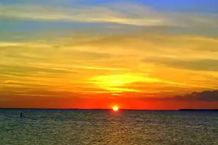 112 Seagull Ln, Tavernier, FL 33070 - Photo 41