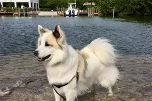 500 Burton Dr, Tavernier, FL 33070 - Photo 35