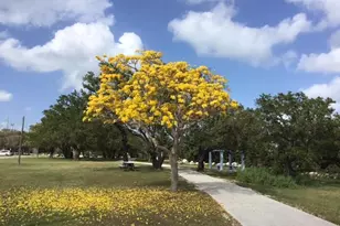 500 Burton Dr, Tavernier, FL 33070 - Photo 45