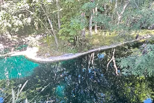 94220 Overseas Hwy, Tavernier, FL 33070 - Photo 43