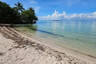 134 S Bay Harbor Dr, Key Largo, FL 33037 - Photo 1