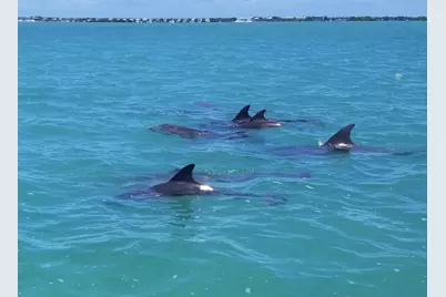 323 Bay View Avenue, Key Largo, FL 33037 - Photo 9