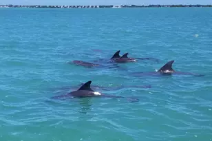 323 Bayview Ave, Key Largo, FL 33037 - Photo 9