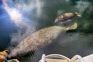 1112 Grand Street #And Half Lot, Key Largo, FL 33037 - Photo 47