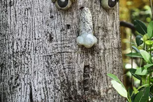 95480 & 90 Overseas Hwy, Key Largo, FL 33037 - Photo 73