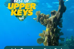 140 Gumbo Limbo Dr, Key Largo, FL 33037 - Photo 19