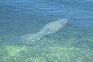 100 List St, Islamorada, FL 33036 - Photo 13