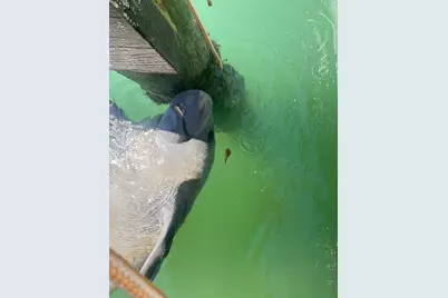 96000 Overseas Highway #U9, Key Largo, FL 33037 - Photo 21