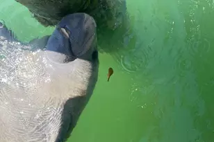 96000 Overseas Hwy, Key Largo, FL 33037 - Photo 21