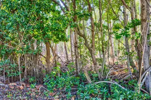 132 Galleon Rd, Islamorada, FL 33036 - Photo 39