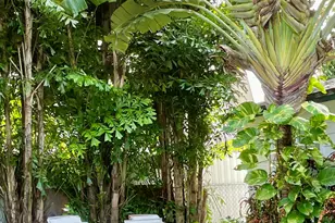 113 Key Heights Dr, Tavernier, FL 33070 - Photo 31