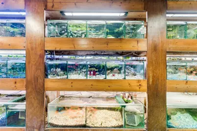 100636 Overseas Highway, Key Largo, FL 33037 - Photo 61