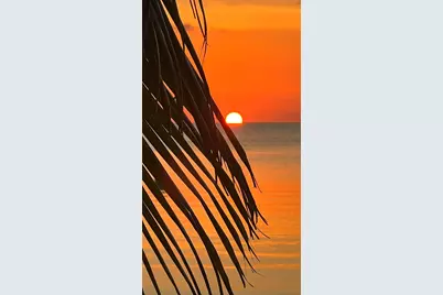 157 Caloosa Street, Islamorada, FL 33070 - Photo 47