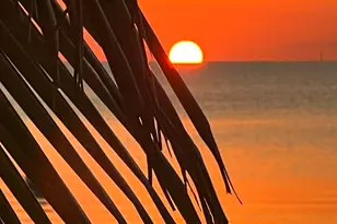 157 Caloosa St, Islamorada, FL 33070 - Photo 47